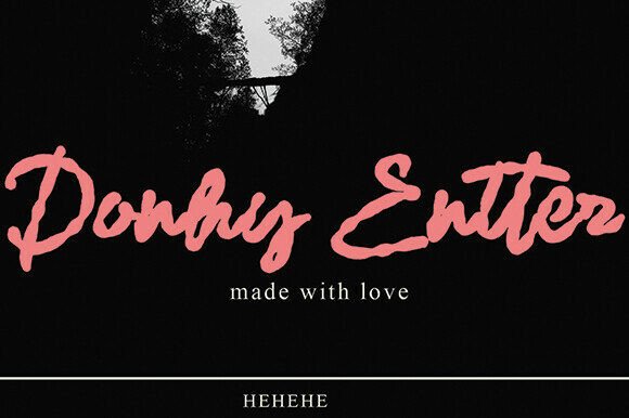 Donhy Entter Font for Bold Handmade Branding