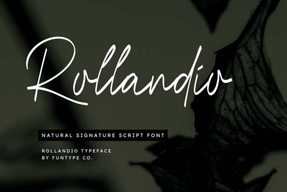 Rollandio: A Signature Script Font for Makers