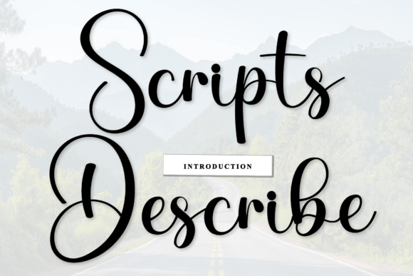 Scripts Describe Font Review for Brand Designers