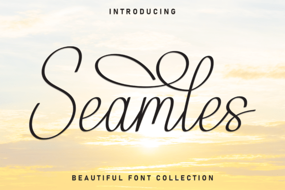 Seamles: A Whimsical Script Font for Crafters