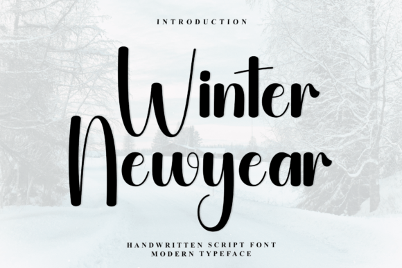 Winter Newyear Font for Elegant Campaign Design